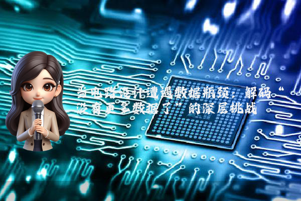 当电路设计遭遇数据瓶颈：解码“没有更多数据了”的深层挑战